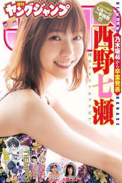 爱情公寓电视剧全集